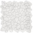 AGPBL-ICE