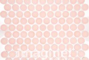 KO28-CORAL